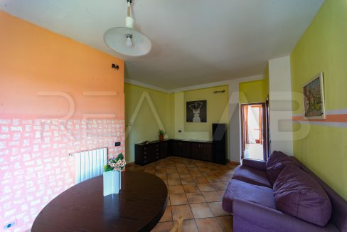DSC03907