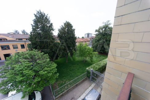 DSC03920